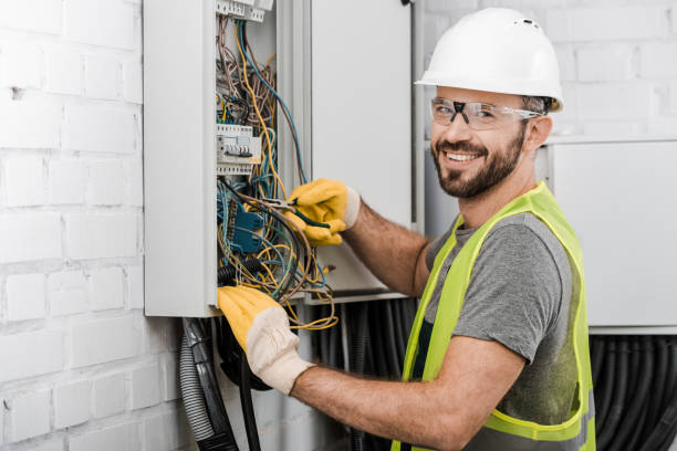 Best Electric Panel Repair  in Bristol, WI