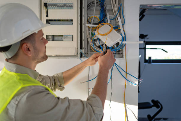 Best Electric Panel Repair  in Bristol, WI